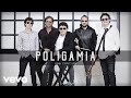 Poligamia - Una Canción (Cover Audio)