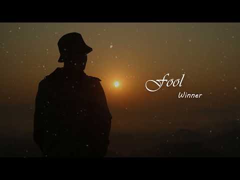Fool - WINNER (Vietsub | Lời dịch | Lyrics)