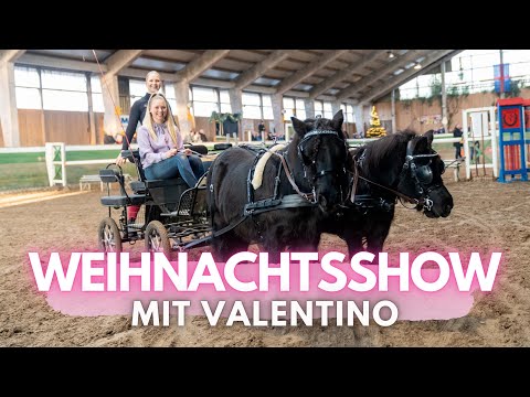 Die WEIHNACHTSSHOW✨