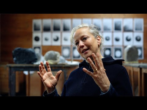 The New Bee Pavilion at the Goetheanum by Barbara Schnetzler