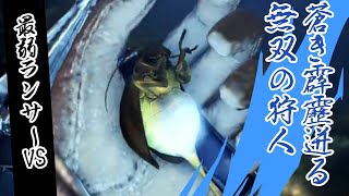 【実況】集まれ！雷光虫の森【モンスターハンターワールド：アイスボーン】