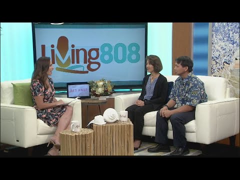 Opções saudáveis ​​disponíveis nas Super Lojas KTA