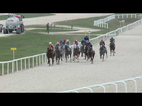 2018.04.01. 4. futam - NYERETLENEK VERSENYE (V.kat.) (szintetikus pálya)