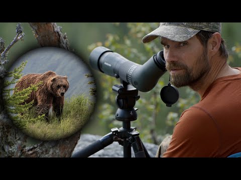 Vår första Björnjakt - Filips äventyr i Fjällen