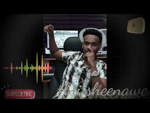 Hamza Ibr - Ani Sheenawe - new oromo music 2022