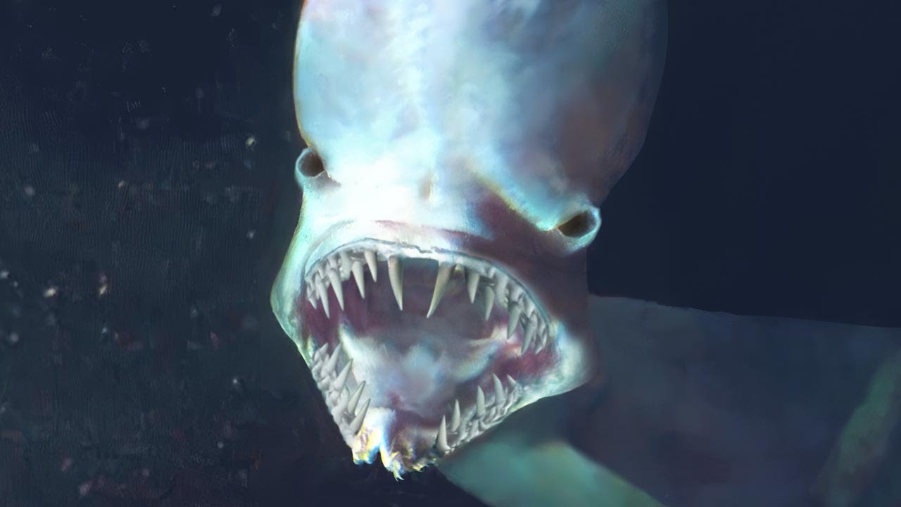 If You’re Afraid Of The Sea Don’t Watch This Video! [Part 2]