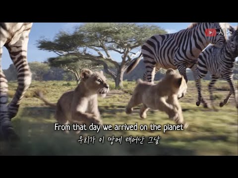 라이온 킹 2019 OST🦁 Circle of Life [영상/가사/해석/발음/자막/번역/lyrics]