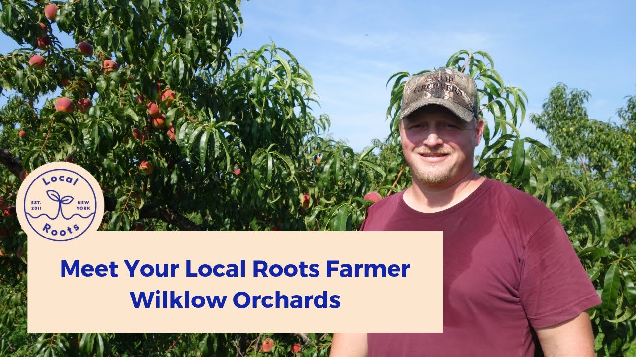 Meet Your Local Roots NYC Farmer: Wilklow Orchards