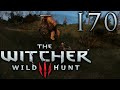 The Witcher 3: Wild Hunt [170] - Großer Wächter