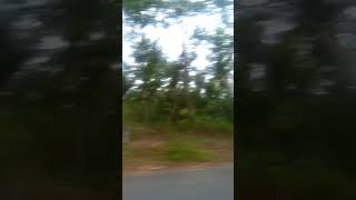 Download lagu Touring satria fu with team lapas solo / assaf Pantai Pidakan Pacitan mp3