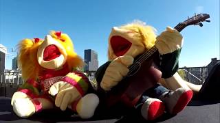 Shellycoat - Saturday Night Alone (Masked Intruder Ukulele Cover)