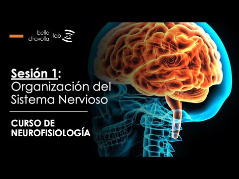 Introduction to Neurophysiology