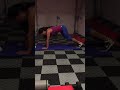 twisted bird dog