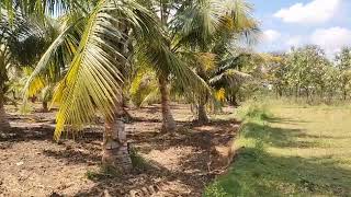  Agricultural Land for Sale in Vayaloor, Tiruchirappalli