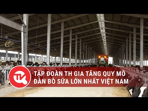 , title : 'TH gia tăng quy mô đàn bò sữa lớn nhất Việt Nam | Truyền hình Quốc Hội Việt Nam'