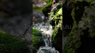 Download lagu RAES - JALAN CINTA mp3 Download lagu RAES - JALAN CINTA mp3