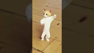 Download lagu cute billi dancing💃 bhojpuri song🎵 #virals #billi #cat #animals #shortsvideo mp3