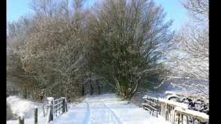 preview picture of video 'Geertruidenberg in de winter'