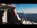 Jurassic Jetski Meet Gravity Industries