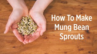 How to Make Your Own Sprouts | Mung Bean Sprout Benefits | Ayurvedic Recipes