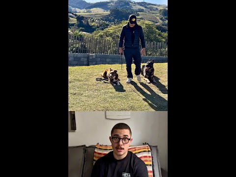 Comportamento de cadela no cio | JHON'S DOG - ADESTRAMENTO DE CÃES