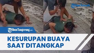 VIRAL Terduga Pelaku KDRT di Makassar Mendadak Kesurupan Jadi Buaya saat Ditangkap, Langsung Merayap