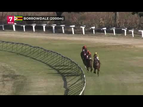 2022.06.15 Zimbabwe Oaks - Empress of Jade