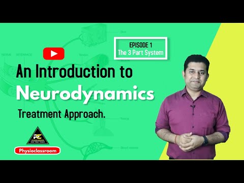 Conceptual Framework of Neurodynamics Treatment Approach The 3 Part System