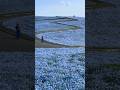 channel