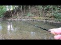 TROUT Fishing TIPS Trout Fishing With Spinners In Creeks Streams