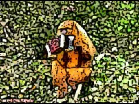 Baile Gaúcho   Seleção de Bugio