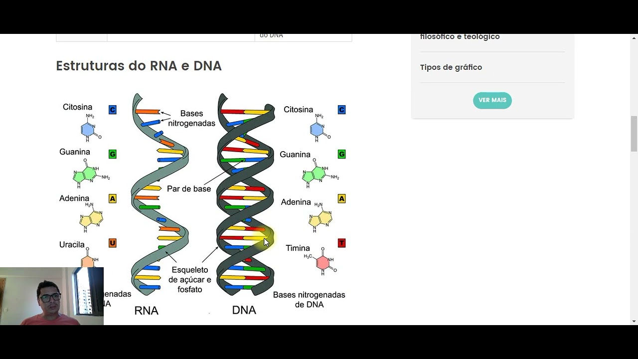 GENÉTICA INTRODUÇÃO DNA RNA