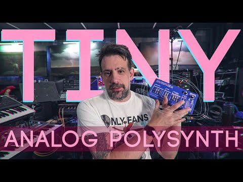 Nymphes - Tiny Synth | HUGE Analog Sound