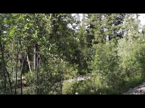 Путешествие в Центральный Саян 2013 г. Кинзелюкский водопад. Кинзелюкский хребет. Агульские белки.