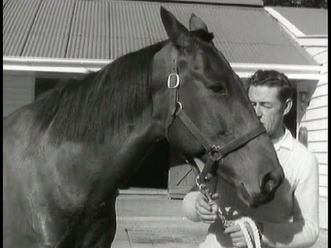 Harness Racing (Cardigan Bay)
