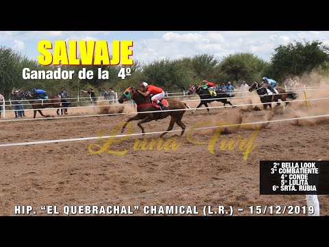 HIP. "EL QUEBRACHAL" EN CHAMICAL -15/12/2019- SALVAJE, BELLA LOCK, COMBATIENTE, RUBIA, LULITA, CONDE