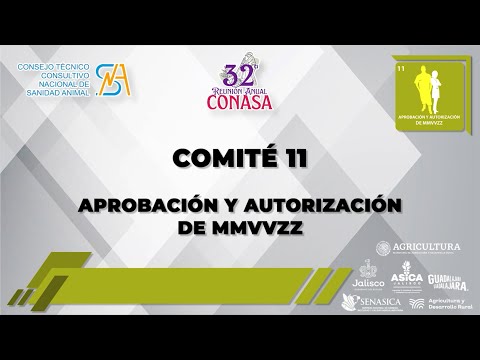 APROBACIÓN Y AUTORIZACIÓN DE MMVVZZ