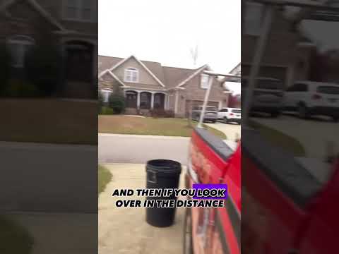 This little guy spots danger way before me! #falconry #kestrel #raptor #falcon #bird #animals