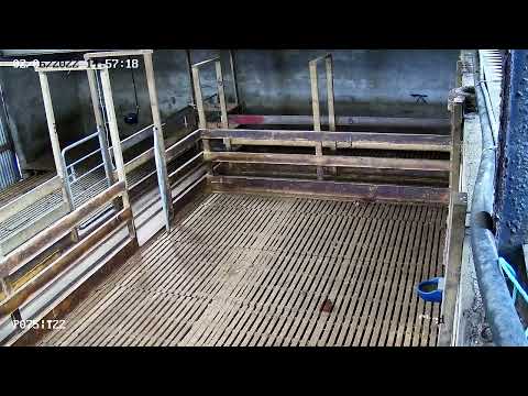 Network Bridge & Wi-Fi Booster & Farm CCTV - Image 2