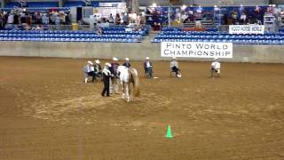 preview picture of video 'Donna and Ruby in Showmanship at Pinto World'