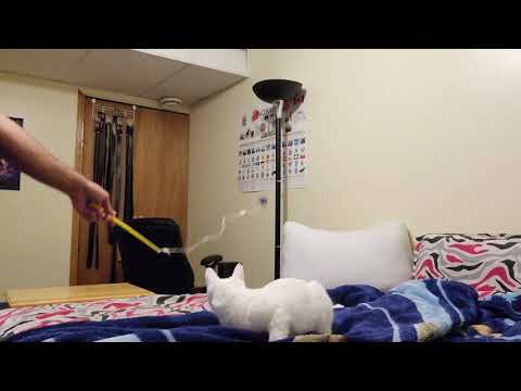 Felicia's Night Time Play Session - 4K