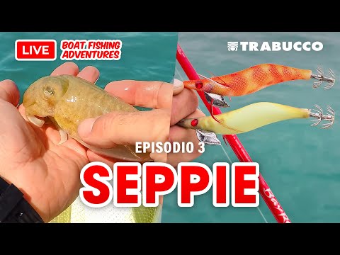 COME pescare SEPPIE dalla BARCA 🦑 approccio #eging e "a scarroccio" » LBFA S1E3 @trabuccofishing​