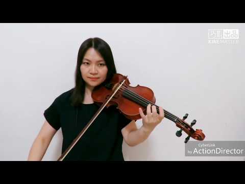 The Chainsmokers, ILLENIUM - Takeaway  ft. Lennon Stella(Violin Cover)