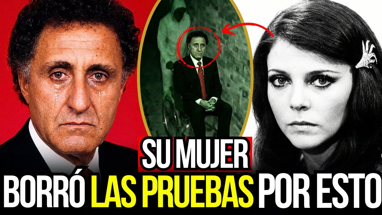 YouTube Thumbnail Downloader FULL HQ IMAGE