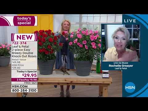 HSN | Your Best Backyard 05.19.2020 - 12 AM