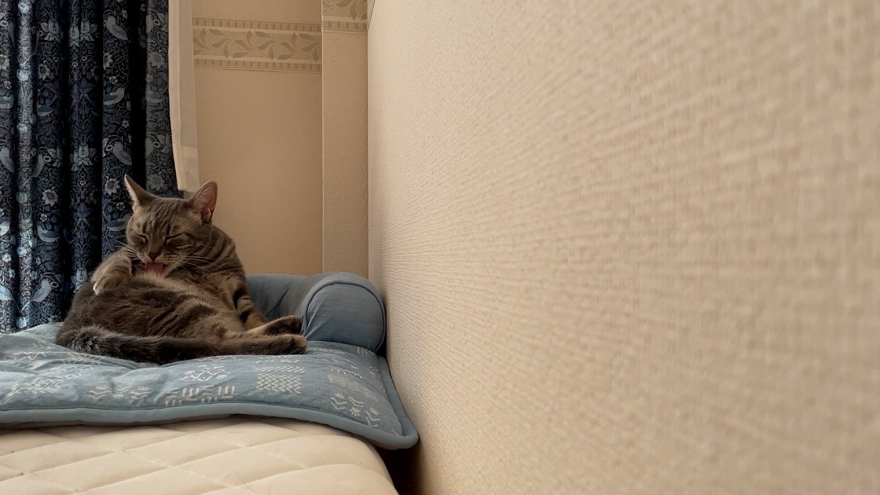 毛繕い可愛いすぎ！！！！！