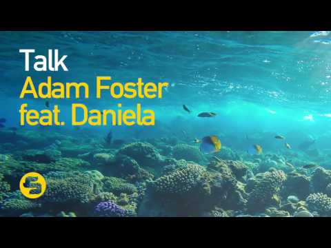 Adam Foster feat. Daniela - Talk (Instrumental Mix)