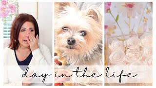 Day In The Life - Puppy LOVE 🐶🩷| Easing My Worries with Retail Therapy 🛍️