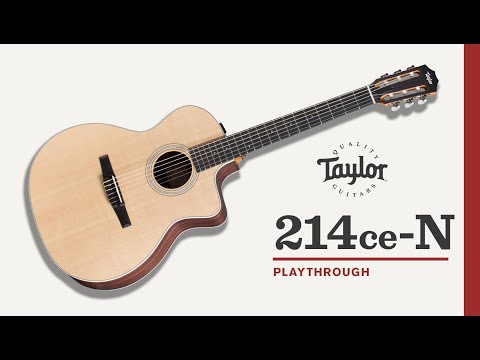 Taylor Guitars | 214ce-N | Playthrough Demo