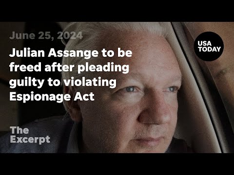 Julian Assange to be freed after pleading guilty to violating Espionage Act The Excerpt